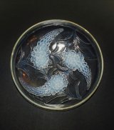 【LALIQUE】ルネ・ラリック　VERONIQUE浅鉢　