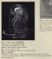 画像4: 【LALIQUE】ルネ・ラリック　NAÏADE 灰皿またはリングトレー (4)