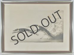 画像5: 【ICART】ルイ・イカール　≪SPEED II≫オリジナル銅版画