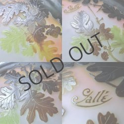 画像6: 【GALLE】ガレ　ドングリ(楢)文吊灯