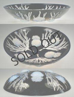 画像3: 【SABINO】サビノ　海栗文浅鉢