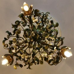 画像4: 宿り木のプラフォニエ