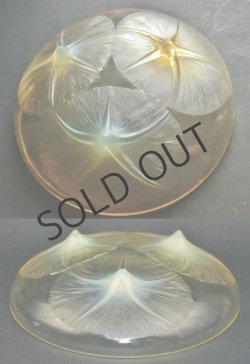 画像4: 【LALIQUE】ルネ・ラリック　VOLUBILIS 浅鉢（黄色）