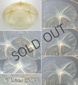 画像5: 【LALIQUE】ルネ・ラリック　VOLUBILIS 浅鉢（黄色）