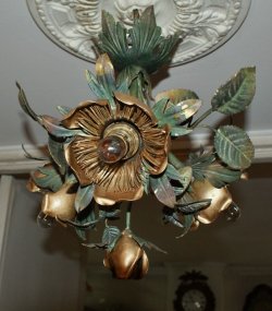 画像5: 薔薇のプラフォニエ