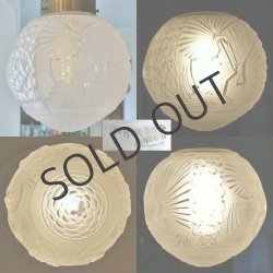 画像5: 【MULLER】ミュレー　鳥文球形プラフォニエ