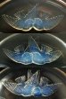 画像3: 【LALIQUE】ルネ・ラリック　NONNETTES浅鉢 (3)