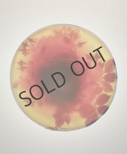 画像5: 【GALLE】ガレ　薔薇文コンポート