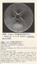 画像4: 【LALIQUE】ルネ・ラリック　COQUILLESN°5 小鉢 (4)