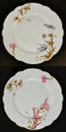 画像2: 【HAVILAND】アヴィランド　花絵中皿6客 (2)