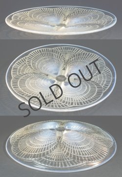 画像2: 【LALIQUE】ルネ・ラリック　COQUILLES 大皿