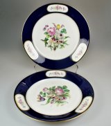 【SEVRES】セーヴル 花絵皿2点