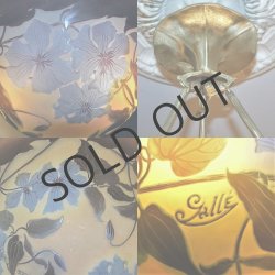 画像6: 【GALLE】ガレ　クレマチス文吊灯