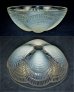 画像3: 【LALIQUE】ルネ・ラリック　COQUILLES 深鉢N°2 (3)