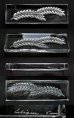 画像2: 【LALIQUE】ラリック　HORTENSEナイフレスト6客 (2)