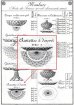 画像4: 【BACCARAT】バカラ　Diamants carrés デザート皿5枚　 (4)