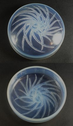 画像4: 【LALIQUE】ルネ・ラリック　HOUBIGANT箱