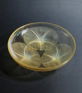 【LALIQUE】ルネ・ラリック　VOLUBILIS 浅鉢（黄色）