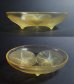 画像3: 【LALIQUE】ルネ・ラリック　VOLUBILIS 浅鉢（黄色） (3)