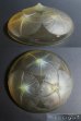 画像4: 【LALIQUE】ルネ・ラリック　VOLUBILIS 浅鉢（黄色） (4)
