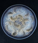 【LALIQUE】ルネ・ラリック　DAUPHINS 大皿