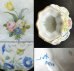 画像6: 【ANTONIBON】アントニボン窯 花絵グラスクーラー (6)
