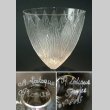 画像3: 【LALIQUE】ルネ・ラリック　LOTUS グラス5客 (3)