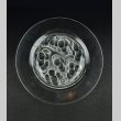 画像1: 【LALIQUE】ルネ・ラリック　MARIENTHAL デザート皿 (1)