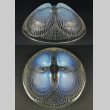 画像3: 【LALIQUE】ルネ・ラリック　COQUILLES 鉢N°4 (3)