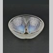 画像1: 【LALIQUE】ルネ・ラリック　COQUILLES 鉢N°4 (1)