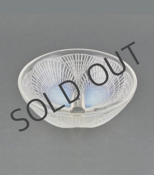 画像: 【LALIQUE】ルネ・ラリック　COQUILLES 鉢N°4