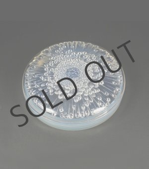 画像: 【LALIQUE】ルネ・ラリック　TOKIOボンボニエール