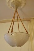 画像3: 【LALIQUE】ルネ・ラリック　COQUILLES プラフォニエ (3)