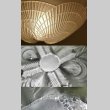 画像6: 【LALIQUE】ルネ・ラリック　COQUILLES プラフォニエ (6)