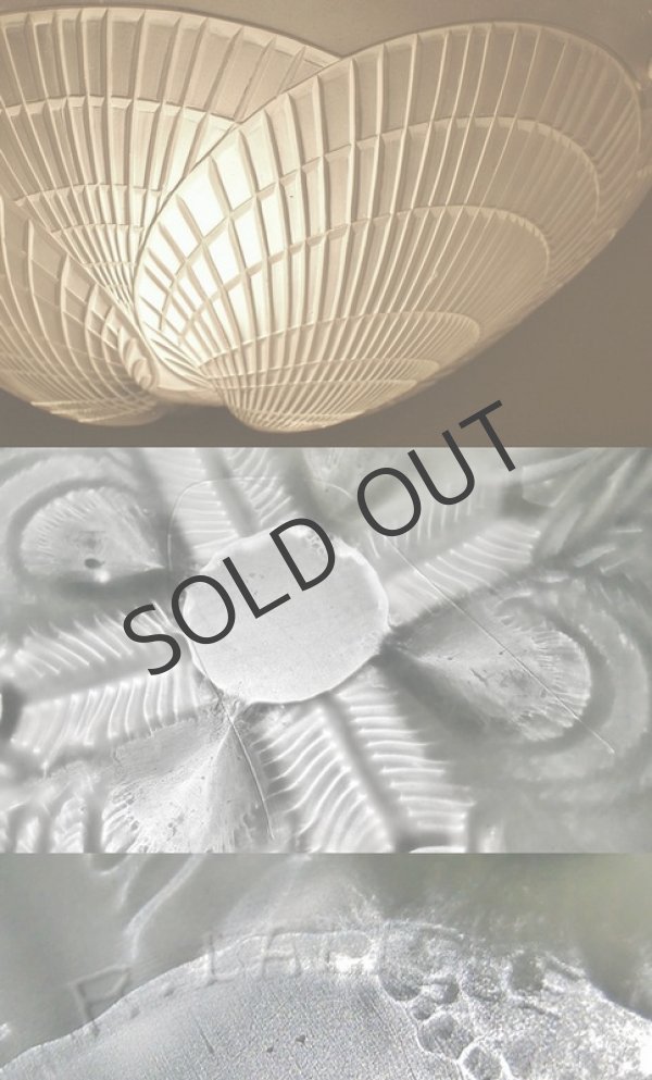 画像6: 【LALIQUE】ルネ・ラリック　COQUILLES プラフォニエ (6)