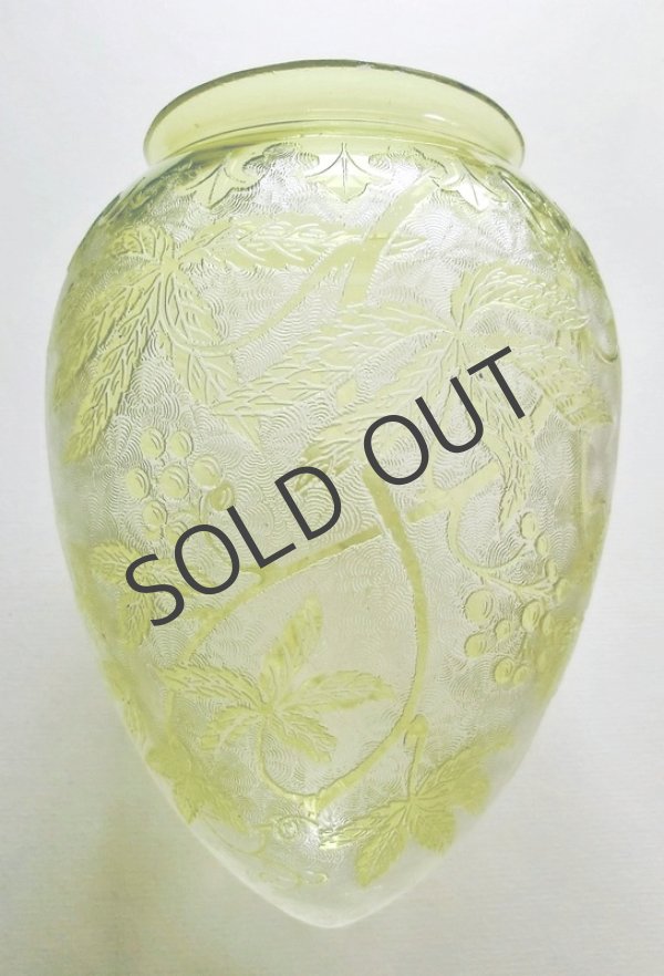 画像5: 【St-Louis】サン・ルイ　蔦文プラフォニエ (5)