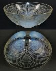 画像4: 【LALIQUE】ルネ・ラリック　COQUILLES 大鉢no.1 (4)