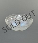 画像: 【LALIQUE】ルネ・ラリック　COQUILLES中鉢N°4