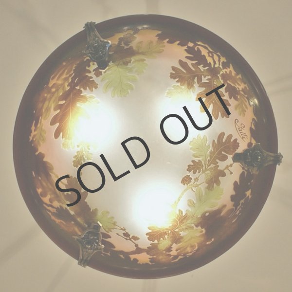 画像4: 【GALLE】ガレ　ドングリ(楢)文吊灯 (4)