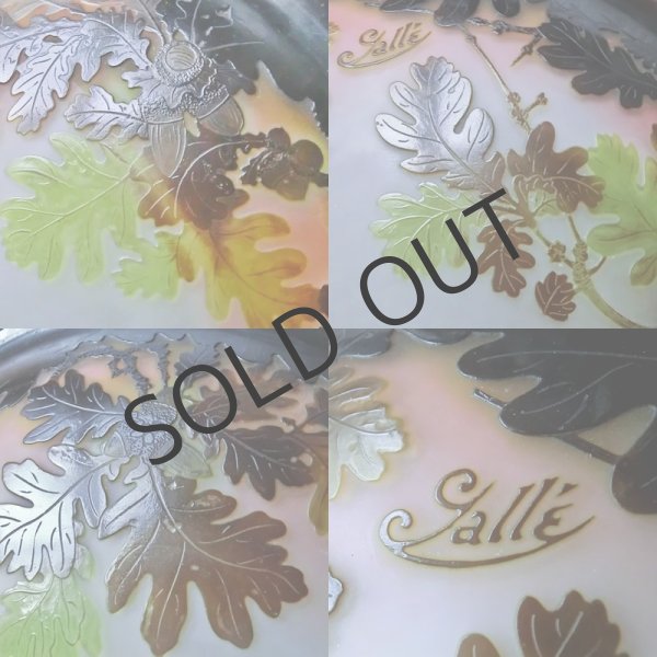 画像6: 【GALLE】ガレ　ドングリ(楢)文吊灯 (6)