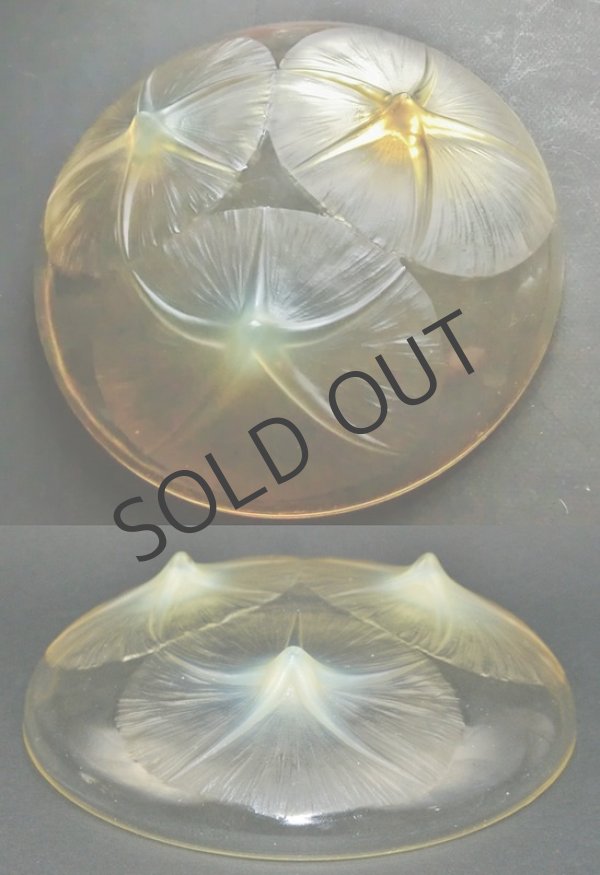 画像4: 【LALIQUE】ルネ・ラリック　VOLUBILIS 浅鉢（黄色） (4)