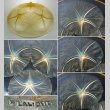 画像5: 【LALIQUE】ルネ・ラリック　VOLUBILIS 浅鉢（黄色） (5)