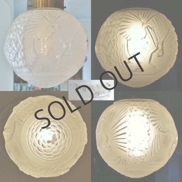 画像5: 【MULLER】ミュレー　鳥文球形プラフォニエ (5)