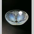 画像1: 【LALIQUE】ルネ・ラリック　COQUILLES 深鉢N°2 (1)