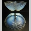 画像3: 【LALIQUE】ルネ・ラリック　COQUILLES 深鉢N°2 (3)