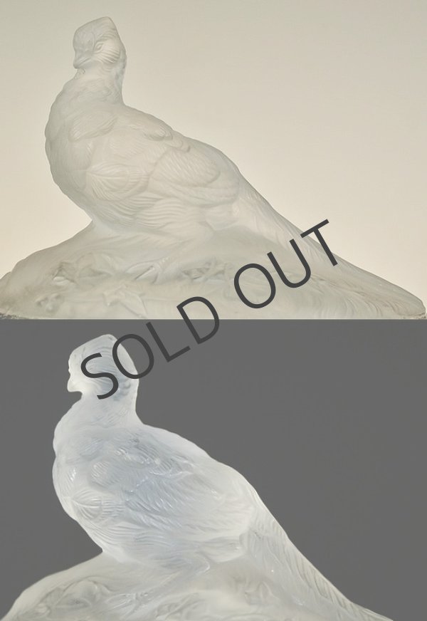 画像3: 【BACCARAT】バカラ キジの宝石箱 (3)