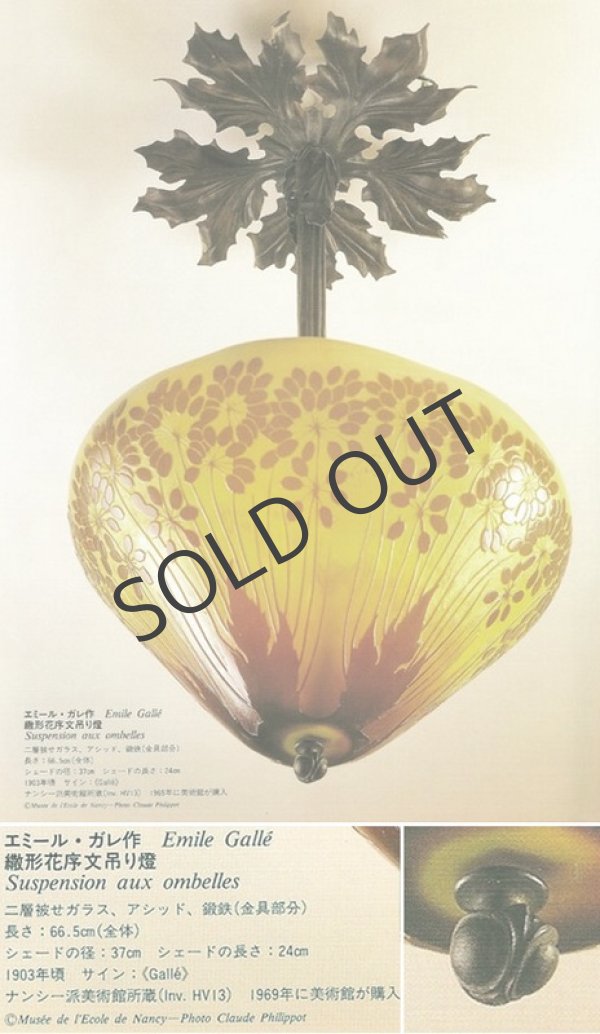 画像8: 【GALLE】ガレ　オンベル文プラフォニエ (8)