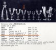 画像6: 【LALIQUE】ルネ・ラリック　THIONVILLEワイングラス (6)