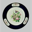 画像4: 【SEVRES】セーヴル 花絵皿2点 (4)