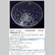 画像6: 【LALIQUE】ルネ・ラリック　Graines d'Asperges 小鉢 (6)